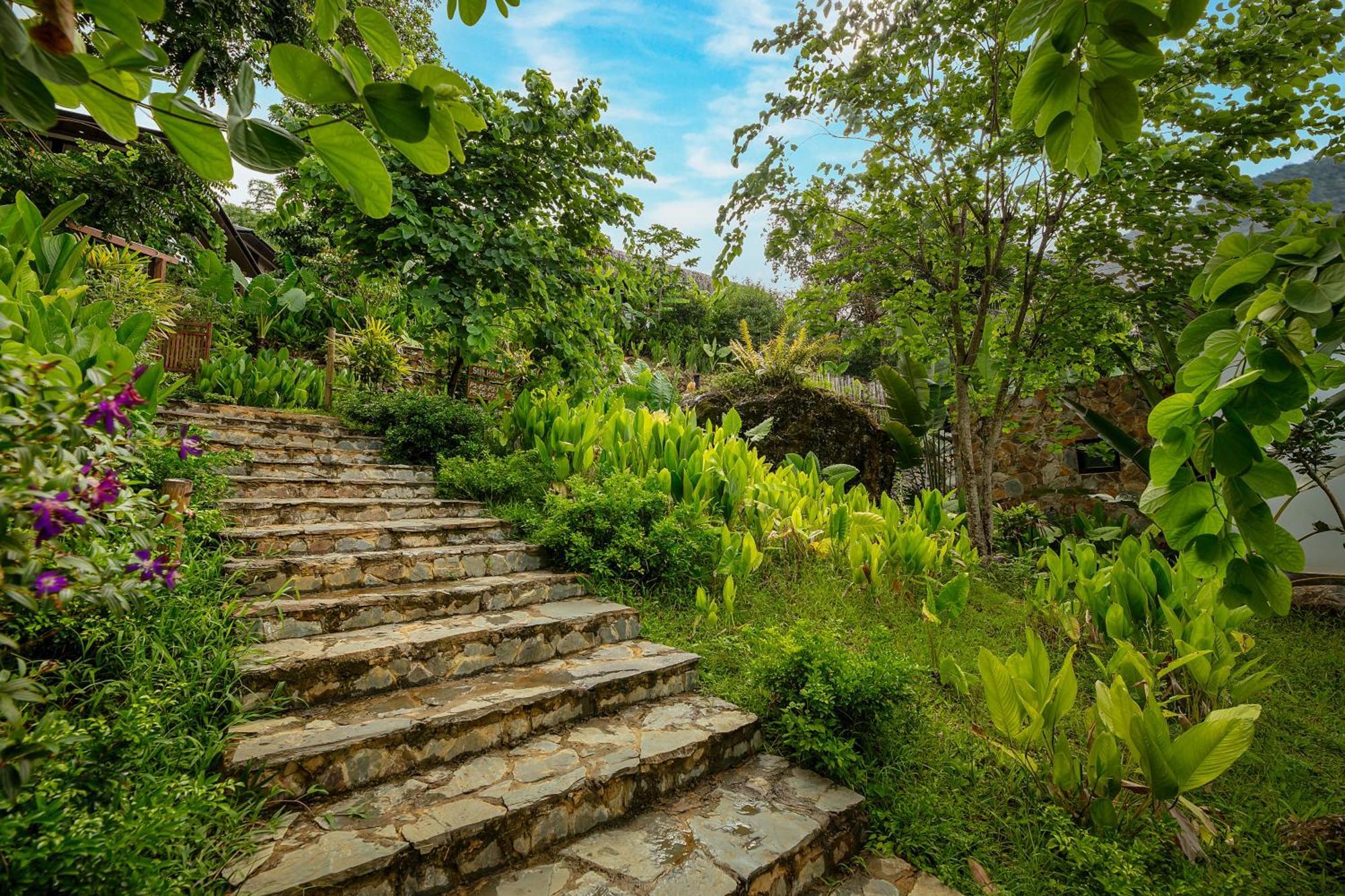 Pu Luong Bocbandi Retreat Hotel Екстериор снимка